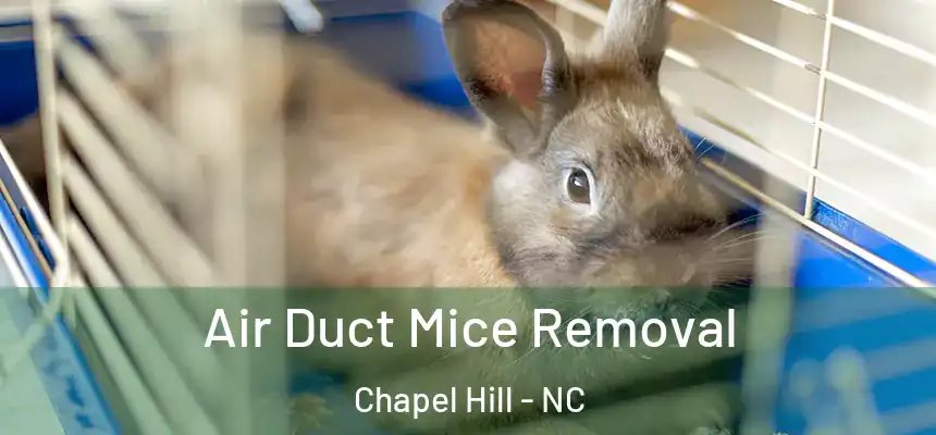Air Duct Mice Removal Chapel Hill - NC