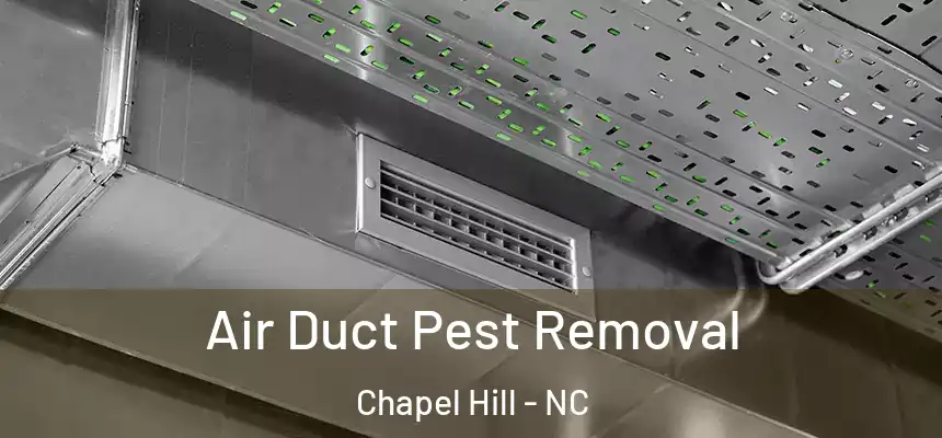 Air Duct Pest Removal Chapel Hill - NC