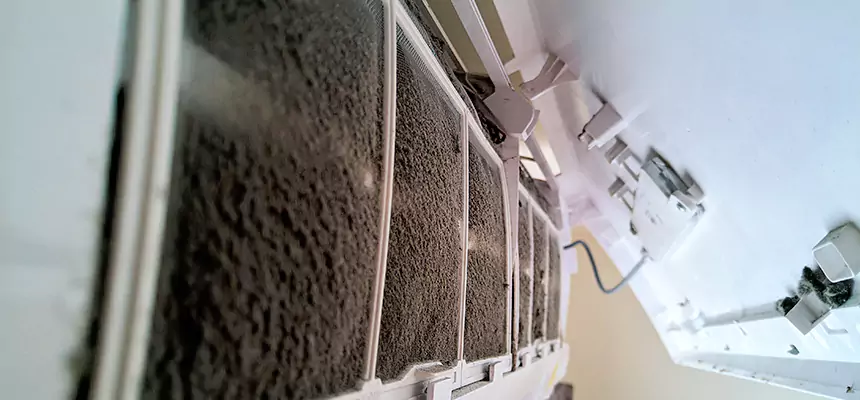 Preventive Air Duct Bacteria Removal in Chapel Hill