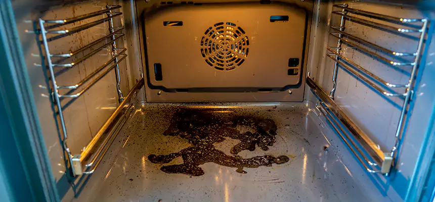 Our Dryer Vent Mold Cleaning Services in Chapel Hill, NC