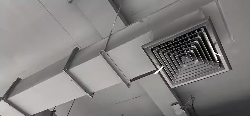 Our Rodent Droppings In Vents Services in Chapel Hill, NC