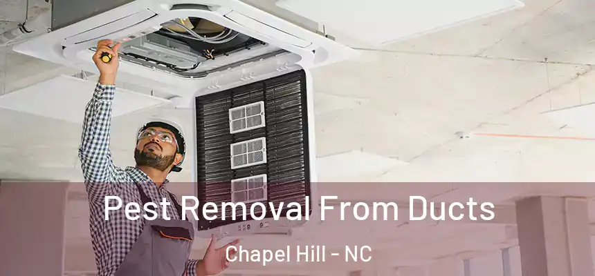 Pest Removal From Ducts Chapel Hill - NC