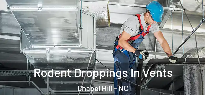  Rodent Droppings In Vents Chapel Hill - NC