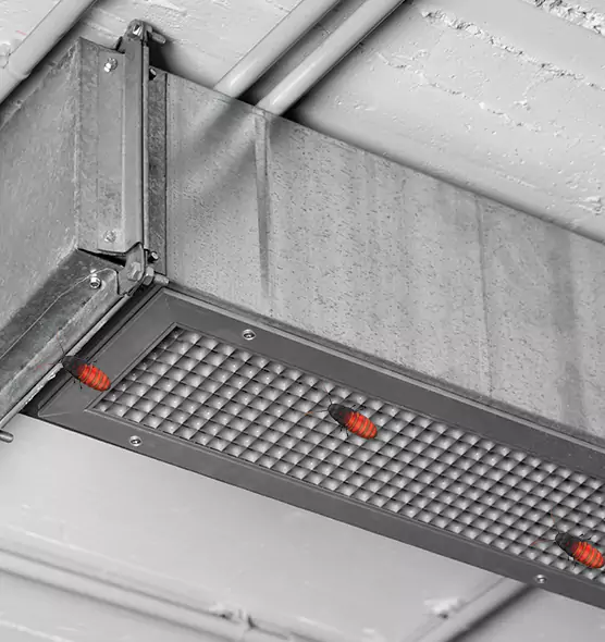 About Air Duct Cockroach Removal in Chapel Hill, NC
