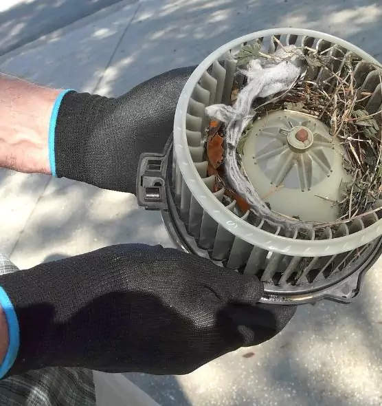 About Air Duct Mice Removal in Chapel Hill, NC