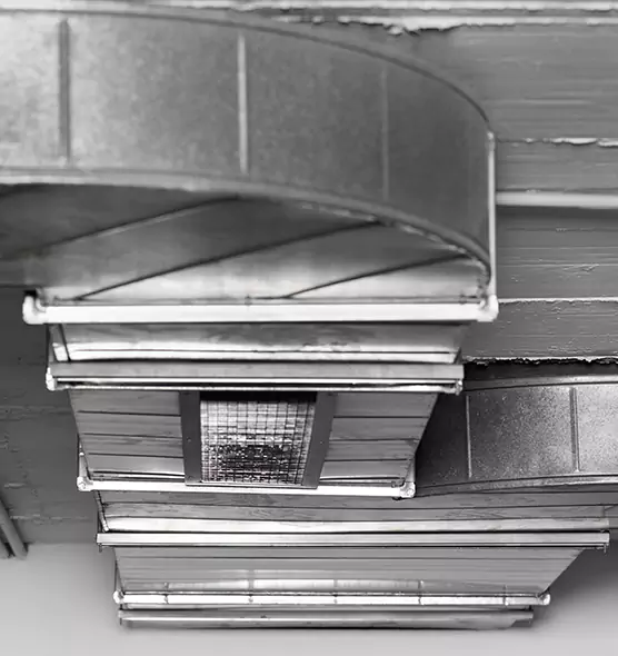 Professional Air Duct Pet Hair Removal in Chapel Hill, NC