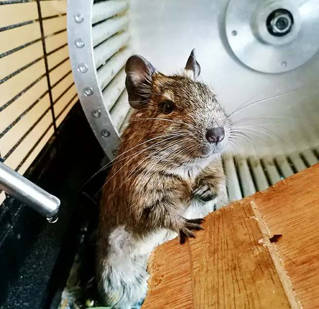 Why Homeowners & Businesses Trust Us Chapel Hill, NC?