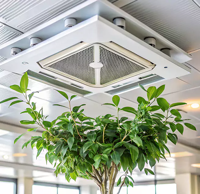 Why Homeowners & Businesses Trust Us in Chapel Hill, NC?