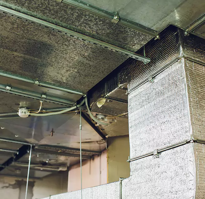 Why Homeowners & Businesses Trust Us in Chapel Hill, NC?