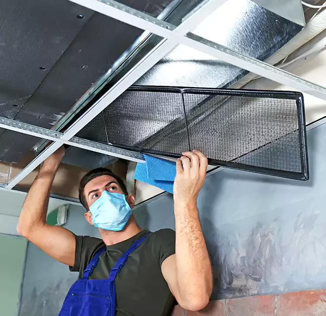 Why Homeowners Businesses Trust Us in Chapel Hill, NC